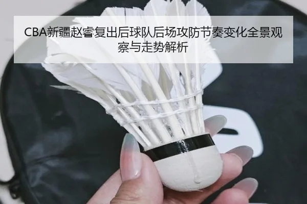 CBA新疆赵睿复出后球队后场攻防节奏变化全景观察与走势解析