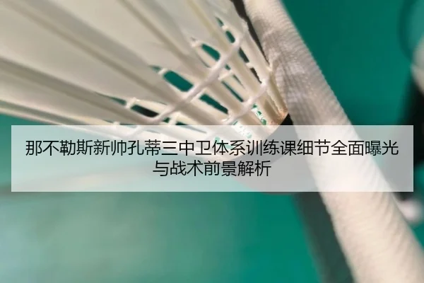 那不勒斯新帅孔蒂三中卫体系训练课细节全面曝光与战术前景解析